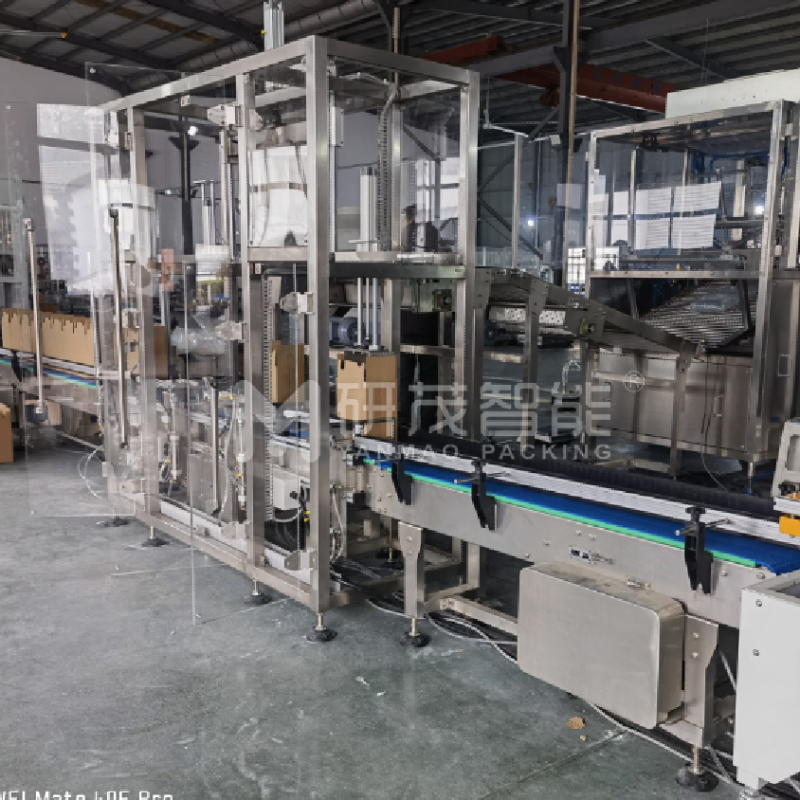 智能兩軸機器人裝箱機——定制化適用于食品、醫藥、電子行業自動化生產線廠家